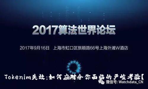 Tokenim失效：如何应对令你面临的严峻考验？