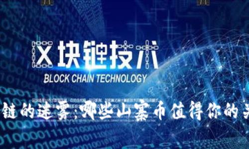 : 揭开区块链的迷雾：哪些山寨币值得你的关注与投资？