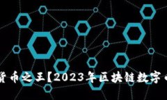 谁才是数字货币之王？2023年区块链数字币排行榜