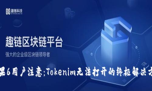 苹果6用户注意：Tokenim无法打开的终极解决方案