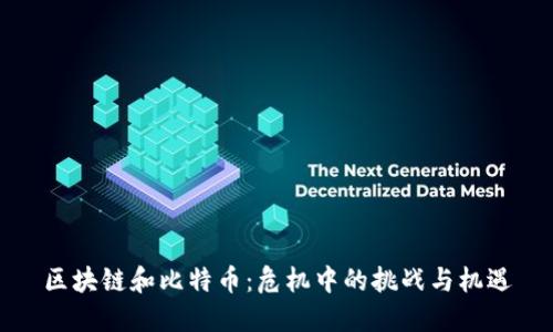 区块链和比特币：危机中的挑战与机遇