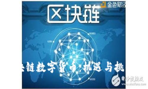 南京区块链数字货币：机遇与挑战的交锋