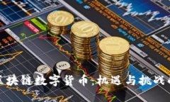 南京区块链数字货币：机遇与挑战的交锋