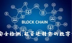 Tokenim安全检测：能否逆转你的数字资产风险？