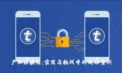 产业区块链：实践与挑战中的成功案例