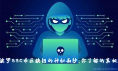 揭开阿波罗BBC币区块链的神秘面纱：你了解的真