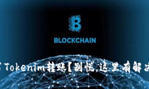 转错了Tokenim转账？别慌，这里有解决方案！