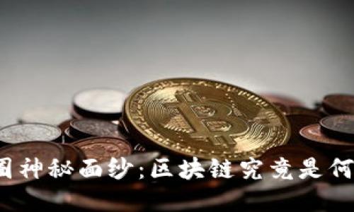揭开币圈神秘面纱：区块链究竟是何方神圣？