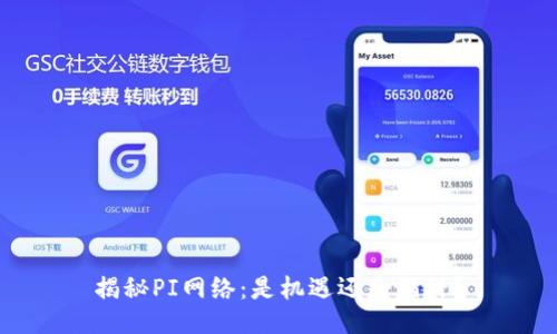 揭秘PI网络：是机遇还是陷阱？