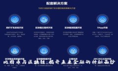 比特币与区块链：揭开未来金融的神秘面纱
