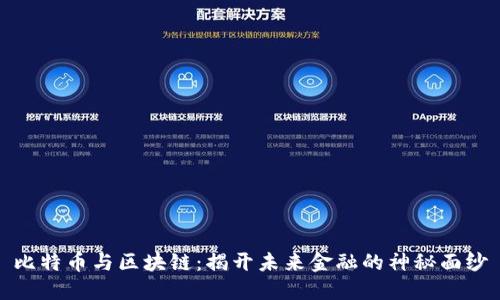比特币与区块链：揭开未来金融的神秘面纱