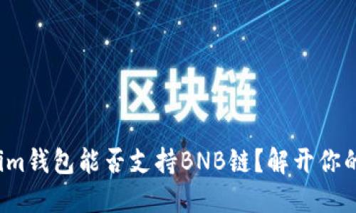 Tokenim钱包能否支持BNB链？解开你的疑惑！