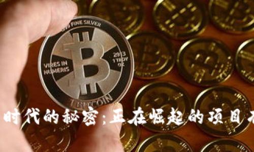 揭开北京区块链新时代的秘密：正在崛起的项目有哪些挑战与机遇？
