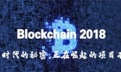 揭开北京区块链新时代的秘密：正在崛起的项目