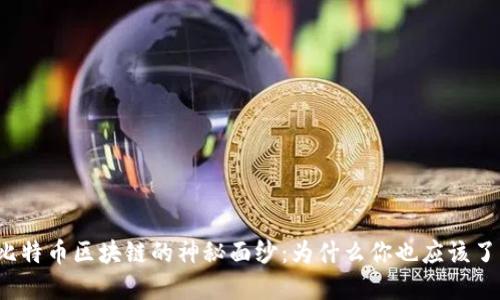 揭开比特币区块链的神秘面纱：为什么你也应该了解它？