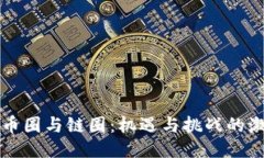 区块链币圈与链圈：机遇与挑战的激烈对抗