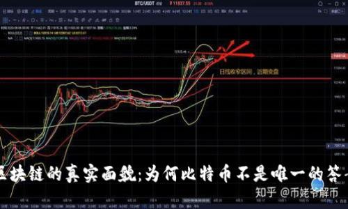 区块链的真实面貌：为何比特币不是唯一的答案