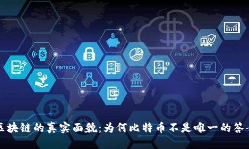 区块链的真实面貌：为何比特币不是唯一的答案