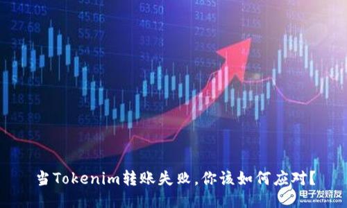 当Tokenim转账失败，你该如何应对？