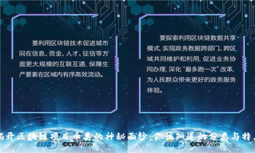 揭开区块链项目币类的神秘面纱：你该知道的分类与特点