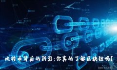 比特币背后的阴影：你真的了解区块链吗？
