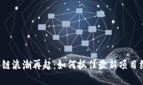 区块链浪潮再起：如何抓住最新项目红利？