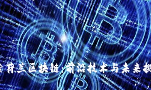 探索荷兰区块链：前沿技术与未来挑战！