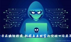 比特币区块链招商：把握未来财富的突破口还是