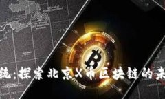 打破传统：探索北京X币区块链的未来之路