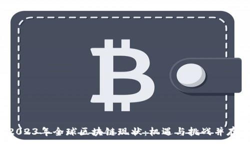2023年全球区块链现状：机遇与挑战并存！