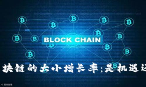 比特币区块链的大小增长率：是机遇还是挑战？