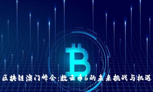 区块链澳门峰会：数云币6的未来挑战与机遇