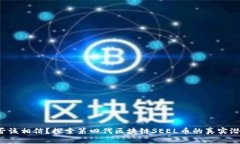 是否该相信？探索第四代区块链SEEL币的真实潜力