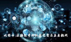 比特币：区块链中的权威记载与未来挑战