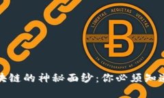 揭开比特币区块链的神秘面纱：你必须知道的真