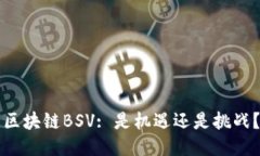 区块链BSV: 是机遇还是挑战？