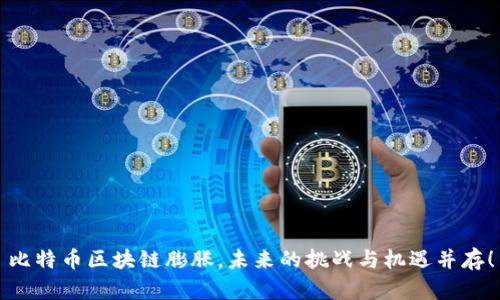 比特币区块链膨胀，未来的挑战与机遇并存！