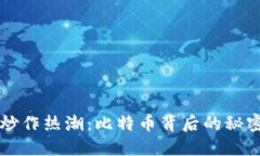 区块链炒作热潮：比特币背后的秘密与挑战