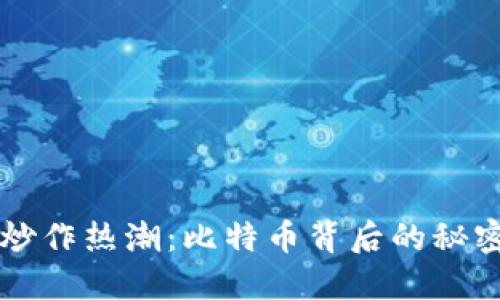 区块链炒作热潮：比特币背后的秘密与挑战