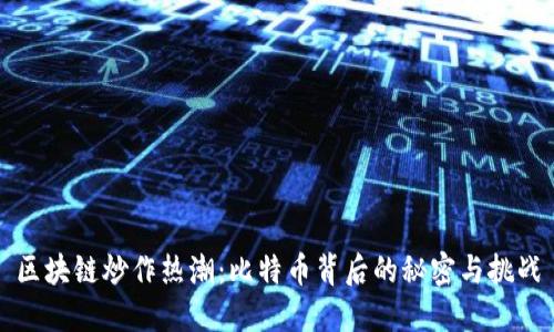 区块链炒作热潮：比特币背后的秘密与挑战