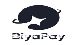 派币：真正的区块链交易还是虚幻的数字梦？