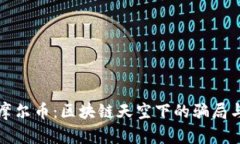 揭露摩尔币：区块链天空下的骗局与真相