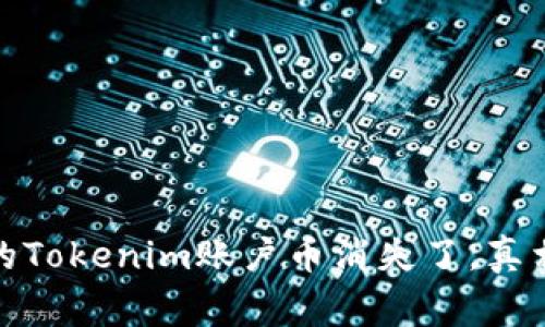 警惕！你的Tokenim账户币消失了，真相是什么？