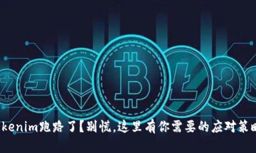 Tokenim跑路了？别慌，这里有你需要的应对策略！