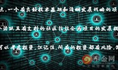 关于投资Tokenim（或者任何数字货币）的决策，确