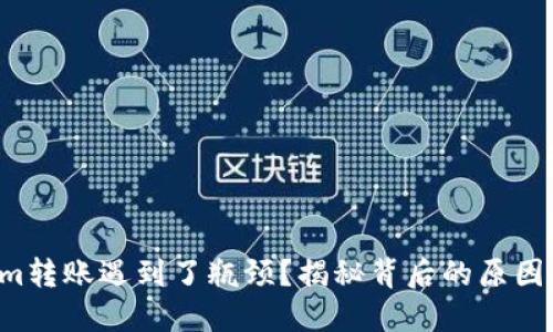 你的Tokenim转账遇到了瓶颈？揭秘背后的原因与解决方案！