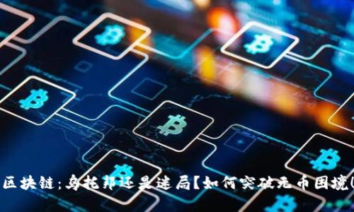 区块链：乌托邦还是迷局？如何突破无币困境！