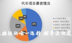 比特币不是区块链的唯一选择：探寻其他底层技