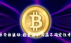 区块链上币价格波动：投资者如何在不确定性中