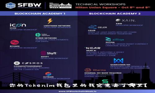 你的Tokenim钱包里的钱究竟去了哪里？